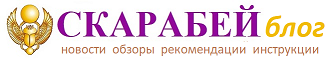 logo 60